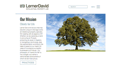 Desktop Screenshot of lernerdavid.com